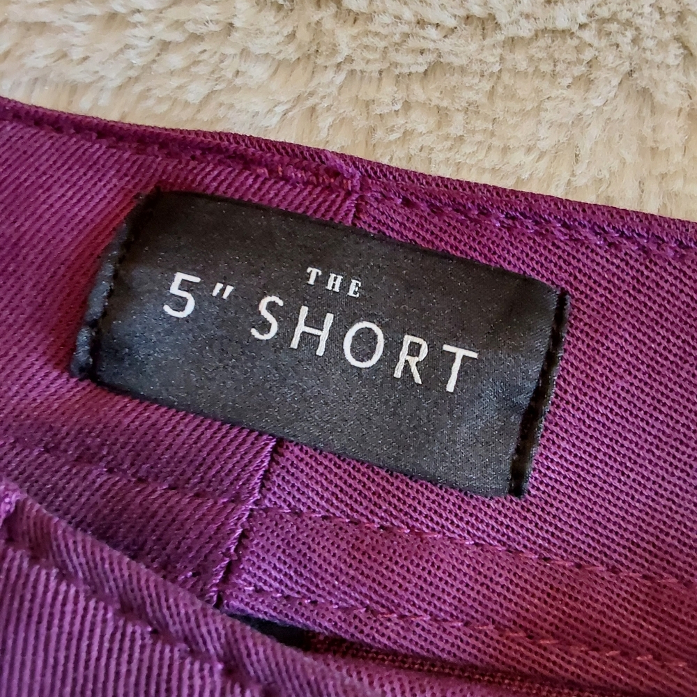 🌺 NWT WHBM Twill Lace-up Shorts - Picture 3 of 14